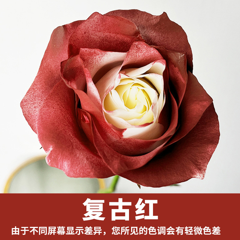 450ml agente de color de aerosol de flores al por mayor pintura en aerosol de secado rápido agente de teñido de rosas de color aerosol de color perlado floristería