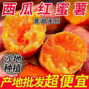 ���x �����������r�t�ļt�����ϼt�ع�ɽ�����ڼt�����lܛŴ��