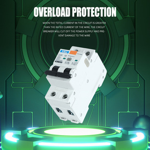 CE certification air switch with leakage protection 220V switch household 2P circuit breaker AC type 32A leakage protection 63A