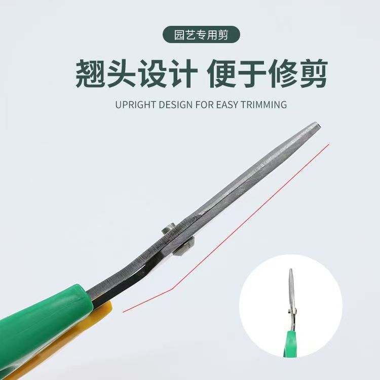 微信图片_20250624235302