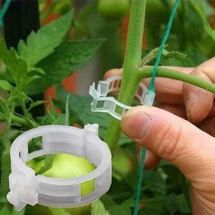 Gardening Plant Fixing Clip Tomato Grafting Clip Binding Vine Clip Binding Branch Clip Plastic Flower, Melon and Vine Fixing Clip