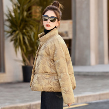 ʽLqŮ2025¿ж̿@ݚ|ÿr