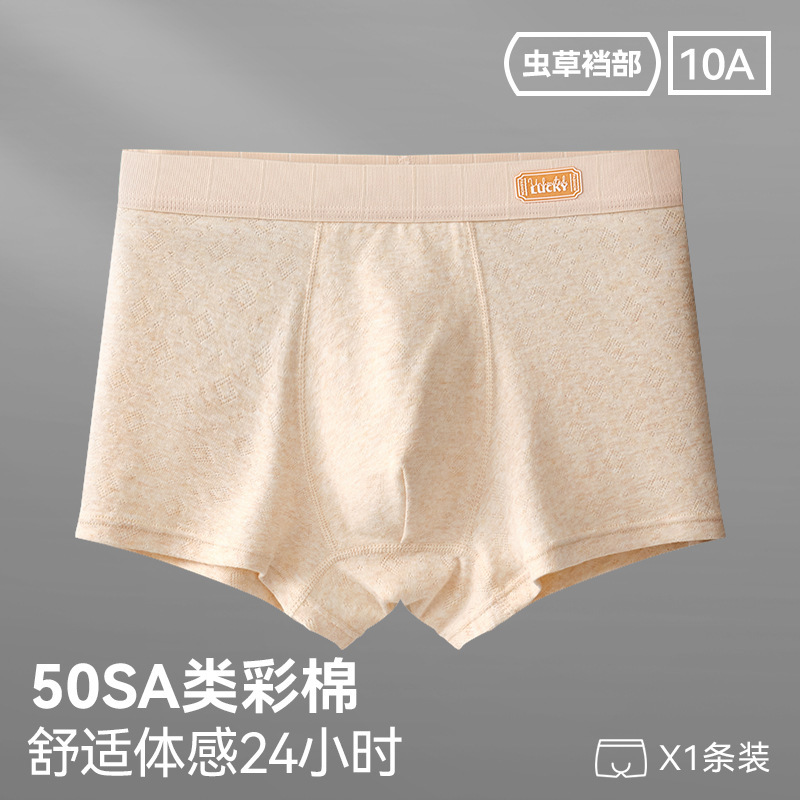 96027-밀크 살구