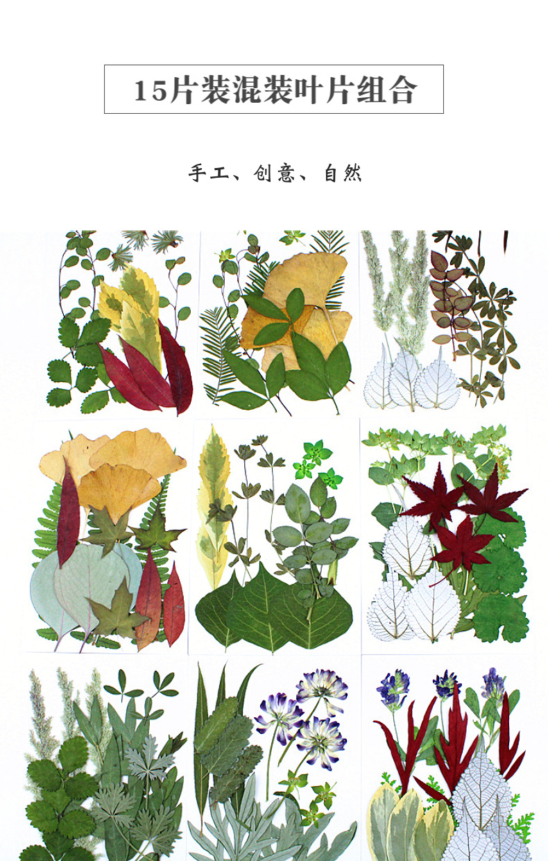  15 