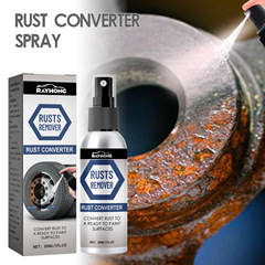 Rayhong anti-rust conversion agent spray car wheel tire rim door lock cleaning rust removal refurbishment lubricant