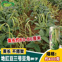 ����ض�����̖���ǷN�� �L����������L���ǷN�� �ˈ@�r���߲���