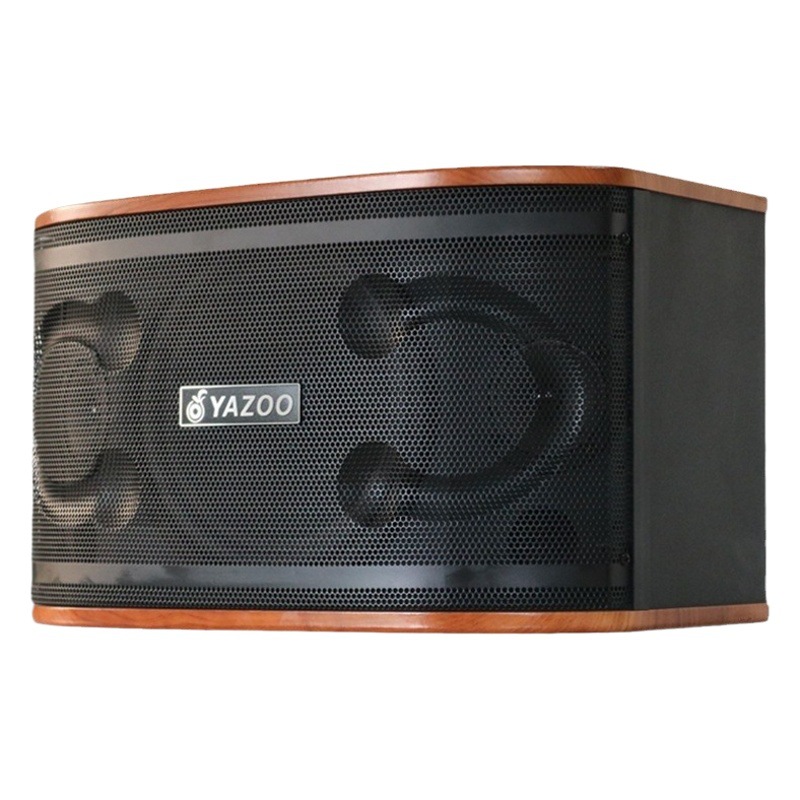 Al por mayor personalizado 10 pulgadas pasivo profesional titular de la tarjeta altavoz al aire libre hogar transmisión en vivo familia ktv combinación audio traje