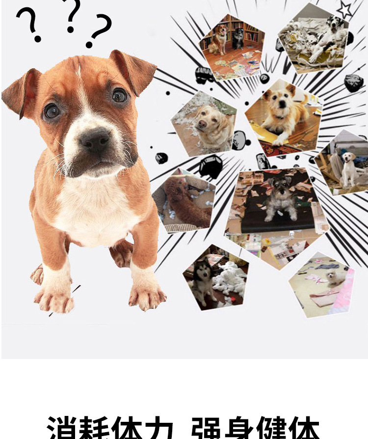 狗玩具阿里巴巴详情页_04