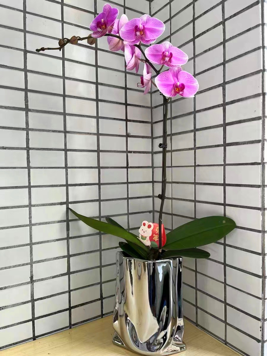 036e20726fad3738ac25911db2c84d