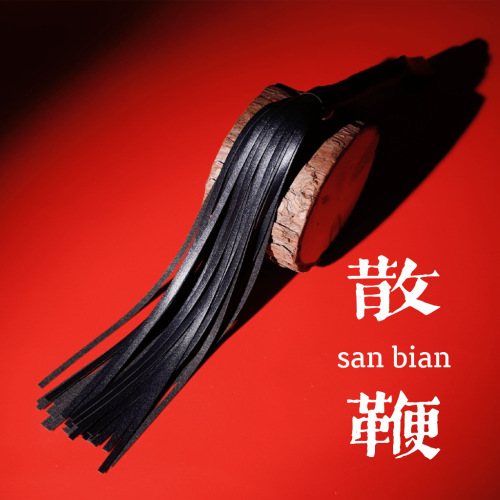 Jiuai SM Leather Whip Adult Alternative Toy Couple Sex Toy Tassel Horsewhip Manufacturer Supply Generation