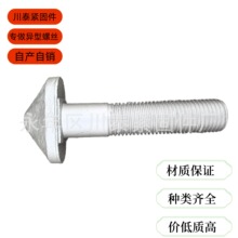 定制异型螺丝异形螺栓红打冷镦加硬10.9级达克罗螺栓各种款式