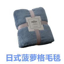 日式菠萝格毛毯珊瑚绒毯子贝贝绒毛毯北欧 掛け毛布USB毛毯电热毯