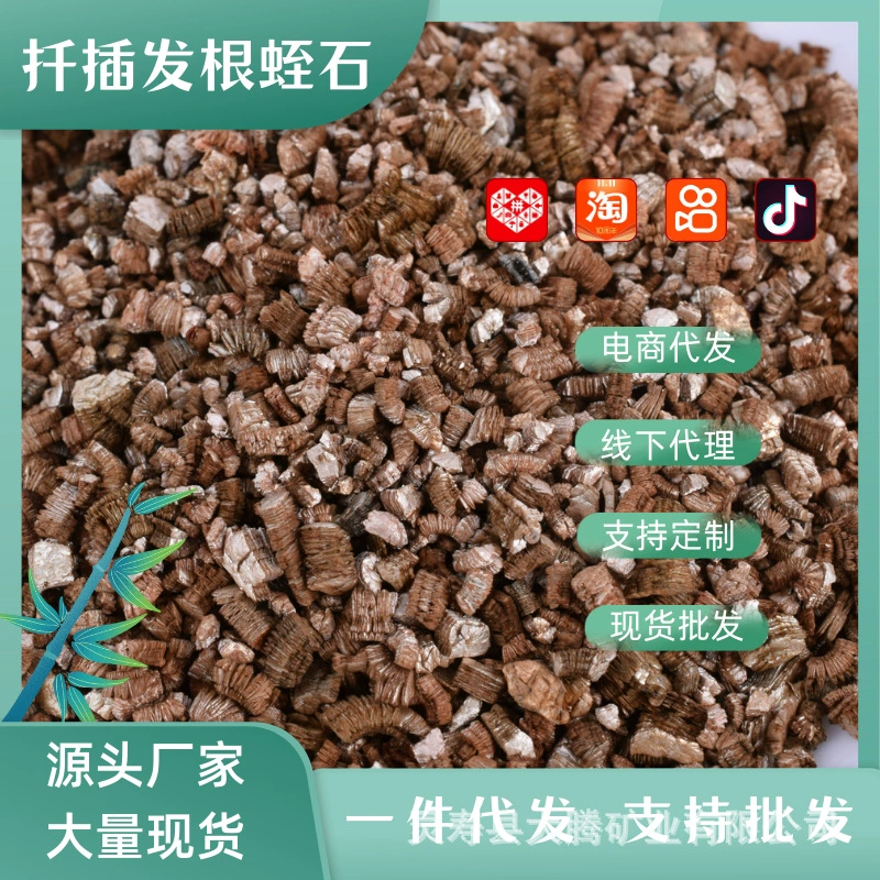 Черенки из вермикулита из одного поколения