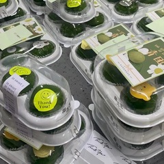 2-pcs 4-pcs Mooncake Gift Box Transparent Vacuum-formed Mooncake Packaging Box with Sticker, Egg Yolk Cookies 4-pcs 6-pcs Set in Wooden Box Paper Box