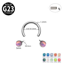ֲ�뼶G23�ѺϽ�C�˱ǻ��ı���צ�ӱǻ�F136��������ŷ�������㻷