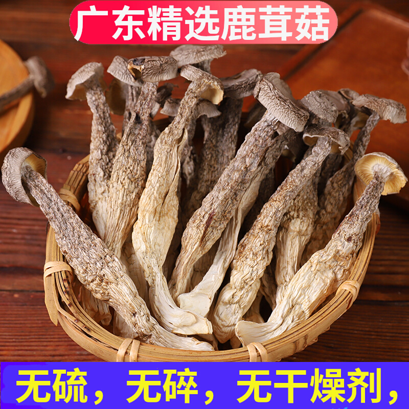 鹿茸菇干货500g广东特产野生脆脆菇煲汤炒菜蘑菇食材新货