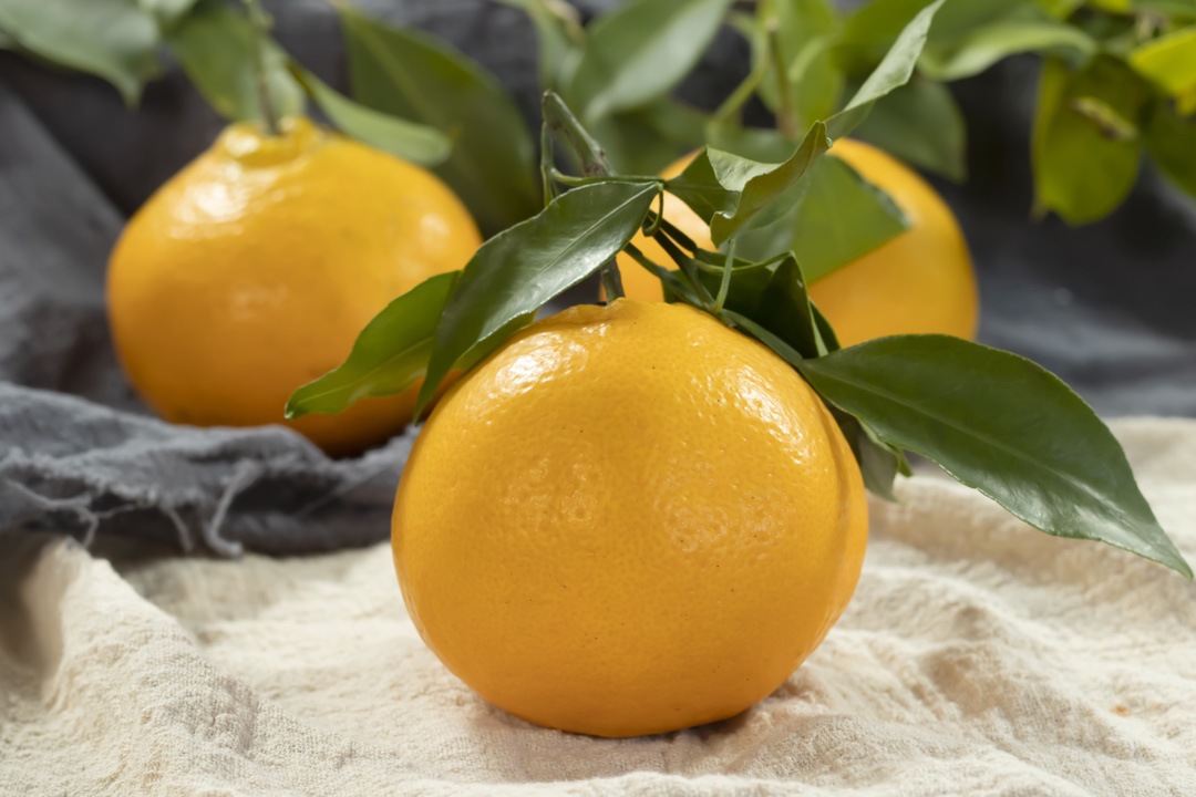 微信图片_20251126074921_329_10