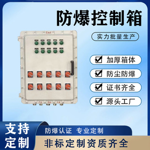 Non-standard explosion-proof wiring lighting terminal explosion-proof box power explosion-proof dust maintenance stainless steel control box power distribution cabinet
