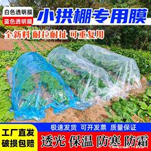 �N��С����Ĥ���籡Ĥ�����Ľz������������Ĥ�߲˷Nֲ�o��Ĥ����