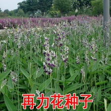 ˮ������ֲ�����������˽��N�Ӻɻ��{���Sβ�S�����R�m�JȔǧ����