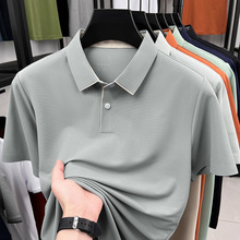 2026�ļ���˿�޺۷���Polo�������д�ɫ����T��ʱ�е�����ʿ����