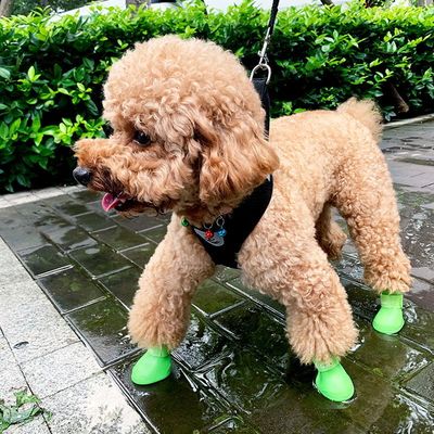 Dogs Rain shoes Pets Golden Retriever silica gel Supplies non-slip shoes Teddy Corgi Bichon Size Manufactor