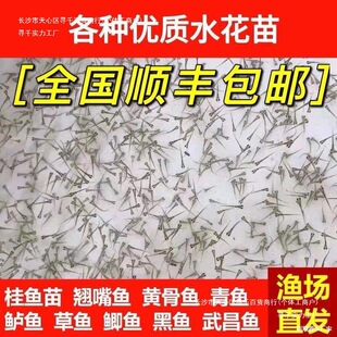 ˮ���~�����l�a�~�~���~���^�����������~���~����~�N���~