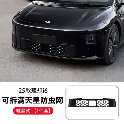 Dust Protection for the Front — Automobile anti-insect net - ideal-i6-gypsophila-insect-proof-net-matte-black-model