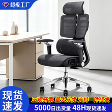 �k�������w���W���������o���T���h���ӆT���W���W�μ�����X��