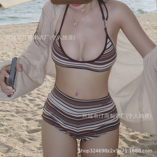 Women's Split Swimsuit Korean Style Ins Pure French Style Retro Sexy Striped Small Chest Gathering High Waist Conservative Swimsuit