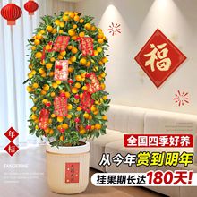 ���ͽ�ۘ����Ԏ����ļ����Ә��辰ֲ���҃ȿ͏d�������Ә���ۘ�