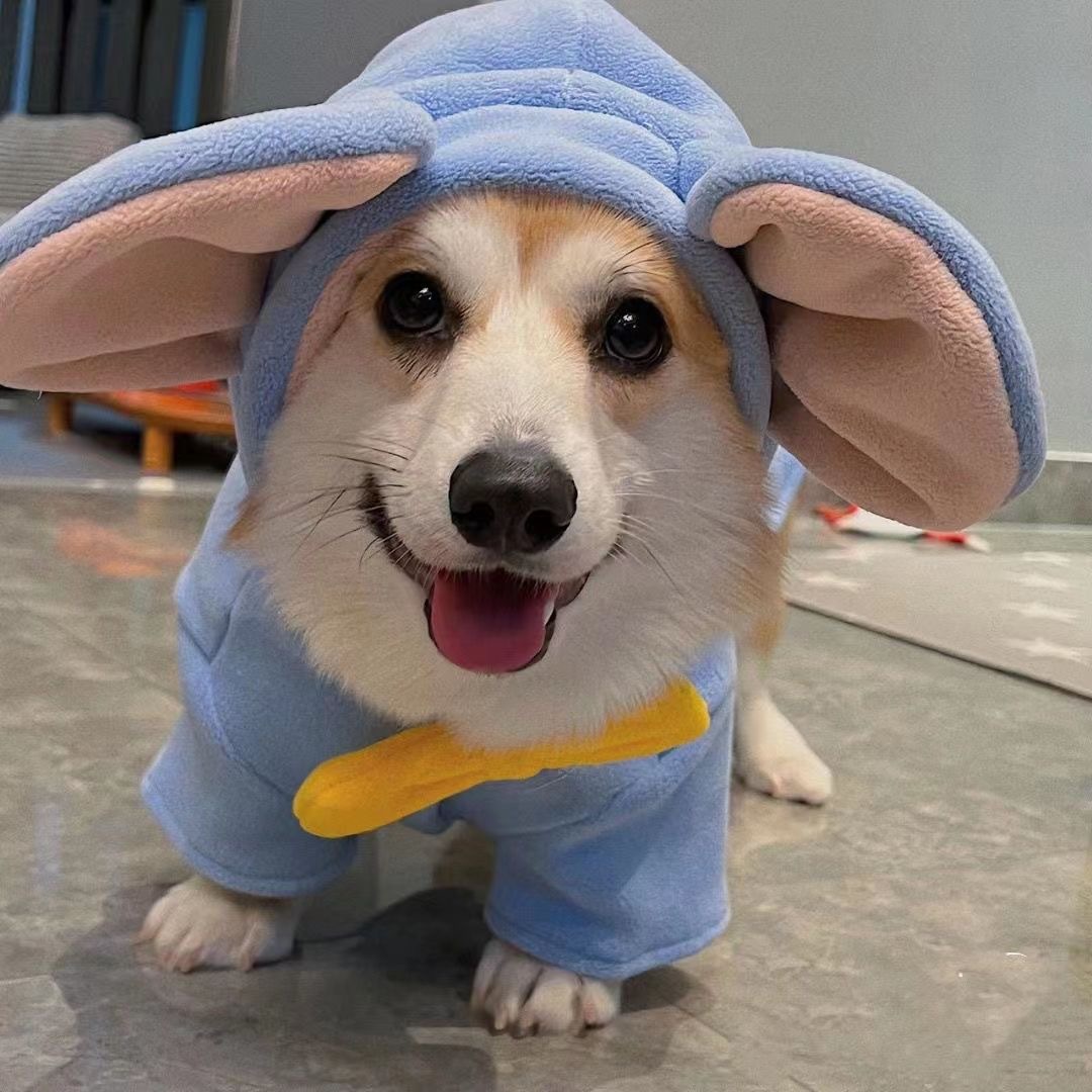 코기 옷 애완 동물 가을 겨울 옷 두꺼운 따뜻한 중소 개 BIXNERY 조끼 빛나는 개 옷