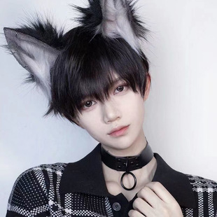 Shake Voice Live Supply Wig Men's Black Short Straight Hair Broken Cover Oblique Bang Korean Handsome Men's Short Hair Full Head Cover
