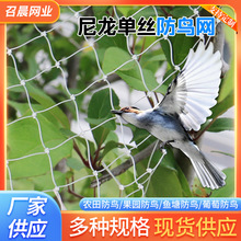 防鸟网尼龙单丝樱桃树葡萄大棚果树保护网尼龙线拦鸟网果园渔网