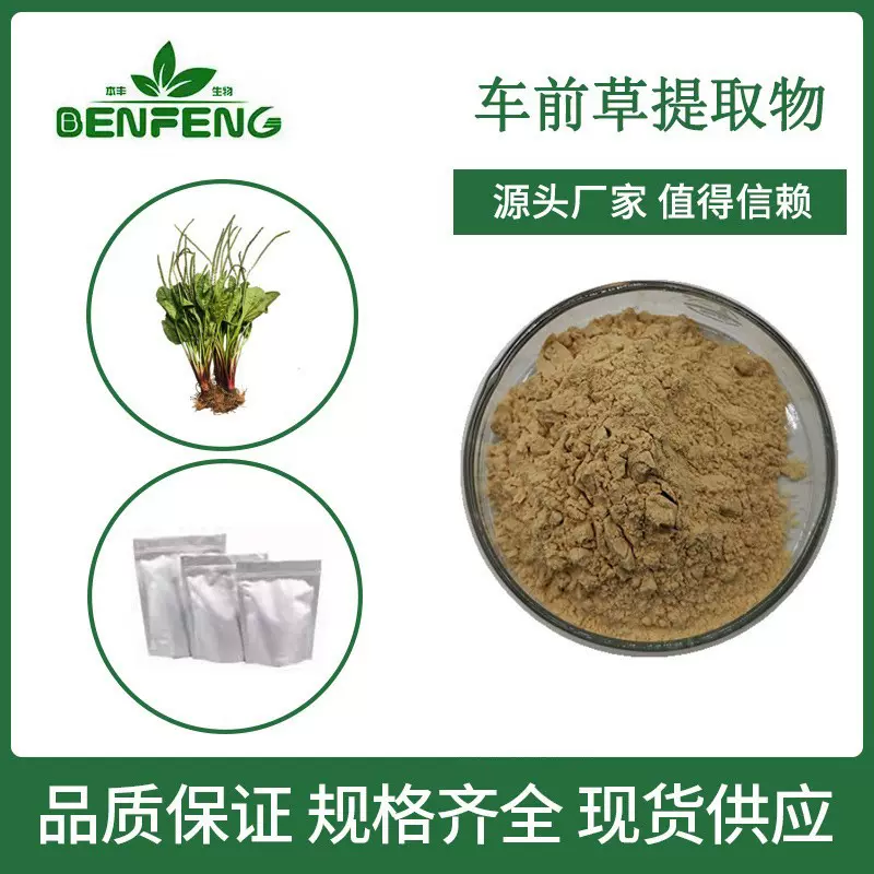 车前草提取物10:1 车前草粉多规格车前子皂甙SC厂家现货包邮 500g