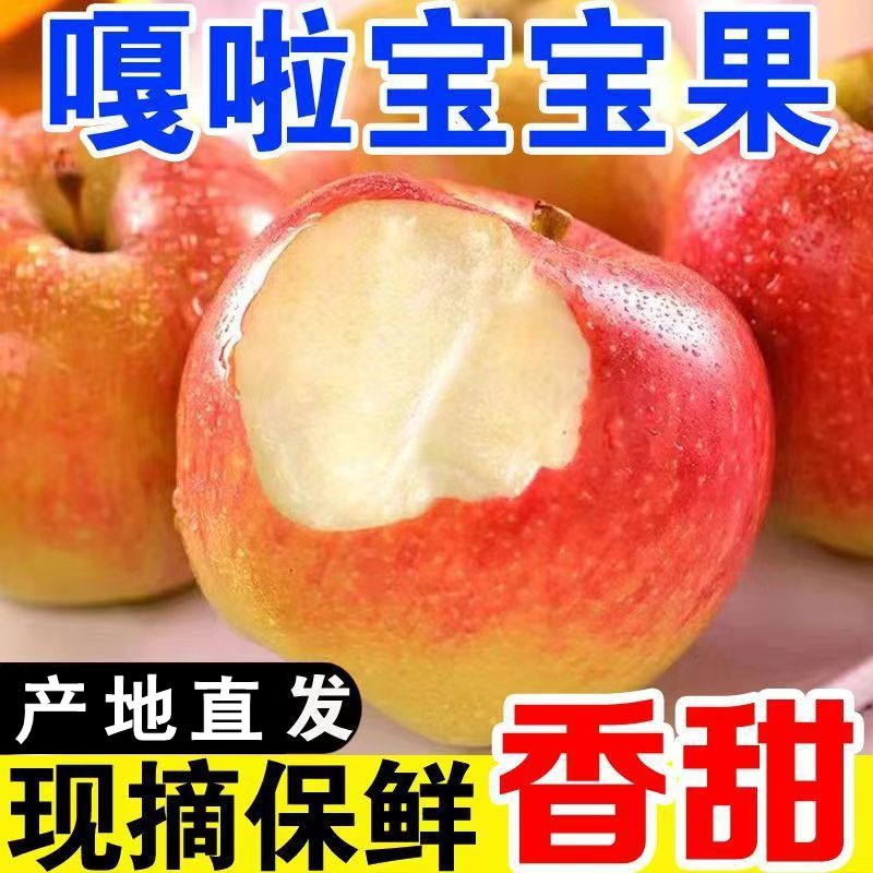 现摘当季陕西嘎啦苹果新鲜宝宝水果香甜多汁一整箱5斤一件代发