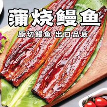 蒲烧新鲜寿司特大整条商用烤鳗鱼饭日式鳗鱼超即食鳗鱼加热