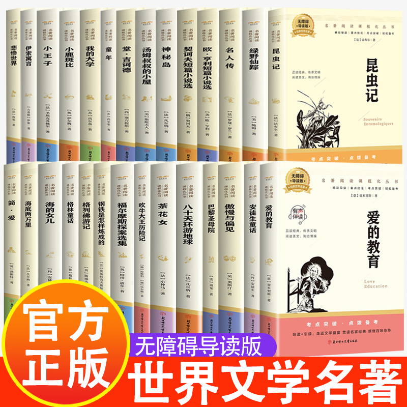 世界经典名著书系 中学生课外书正版原著导读版
