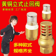井底阀铜水泵进水管滤网塑芯铜内螺纹4分6分带过滤网立 式止回阀