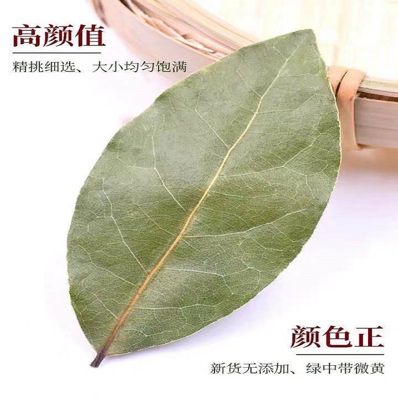 產地貨源批發香葉優選大片特綠月桂葉增味提香燉肉調味香辛料