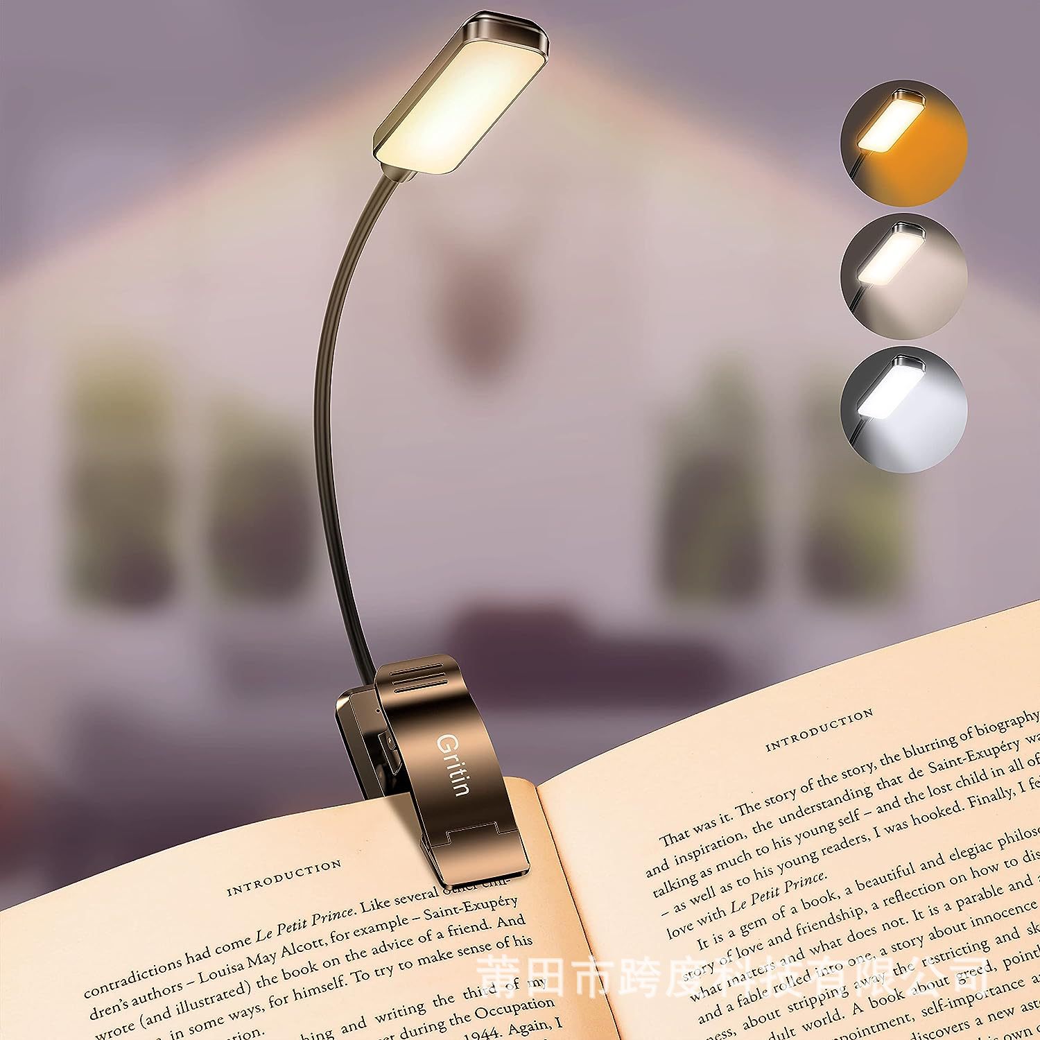 Cross-border popular Gritin 9 LED recargable libro luz de lectura clip de luz