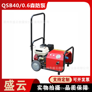 QSB40/0.6�ߓP��ɭ���������Ƅ���܇ʽ�߉��C�ӱ��Ԅ���ˮ����