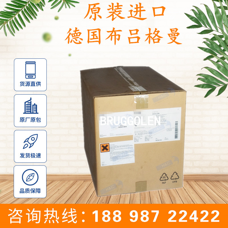 德国布吕格曼 BRUGGOLEN P22 成核剂 聚酰胺成核剂缩短注塑成型