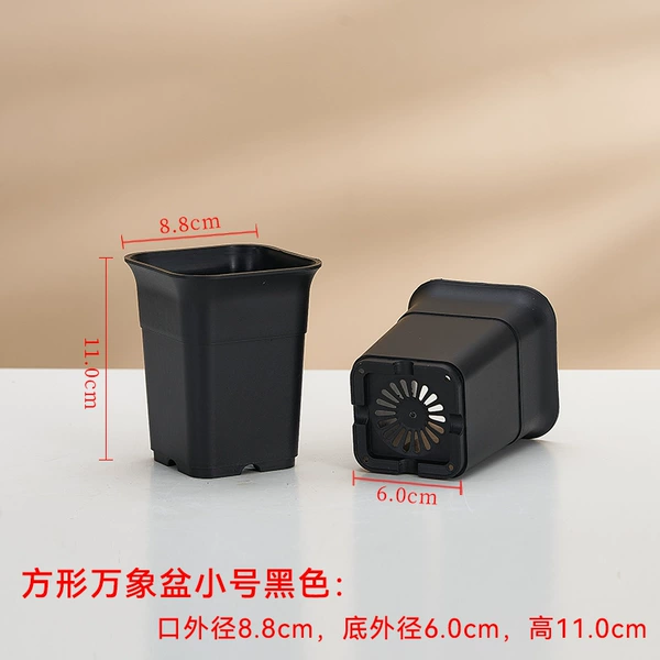 [方行万象盆小号黑色口径8.8cm]