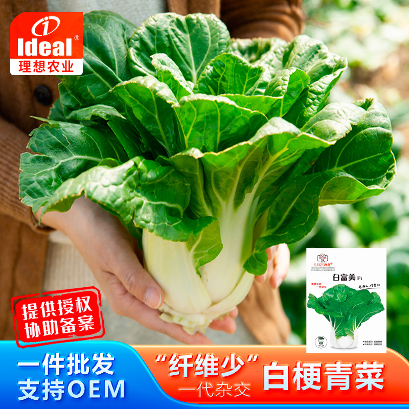 理想小白菜种子白梗青菜种籽蔬菜种子高产春季秋季庭院阳台批发