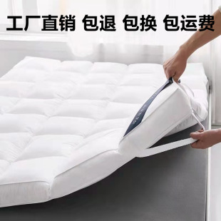 Hilton Mattress Feather Velvet Mattress Five-Star Hotel 10cm Thickeneded Double Bed and Breakfast Soft Cushion Bed Bedding