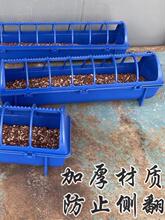 ����ʳ�ێ��w�����OӋ���εײ�����ʳ�����ZͰ�ߴ��Rȫ�{ɫ�Lʳ��