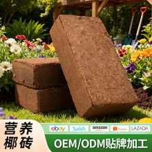 压缩椰砖园艺育苗营养土多肉兰花种植基质跨境贴 牌规格包装定 制