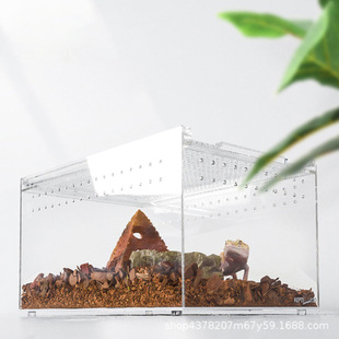 汕頭爬蟲圖片 海量高清汕頭爬蟲圖片大全 阿里巴巴