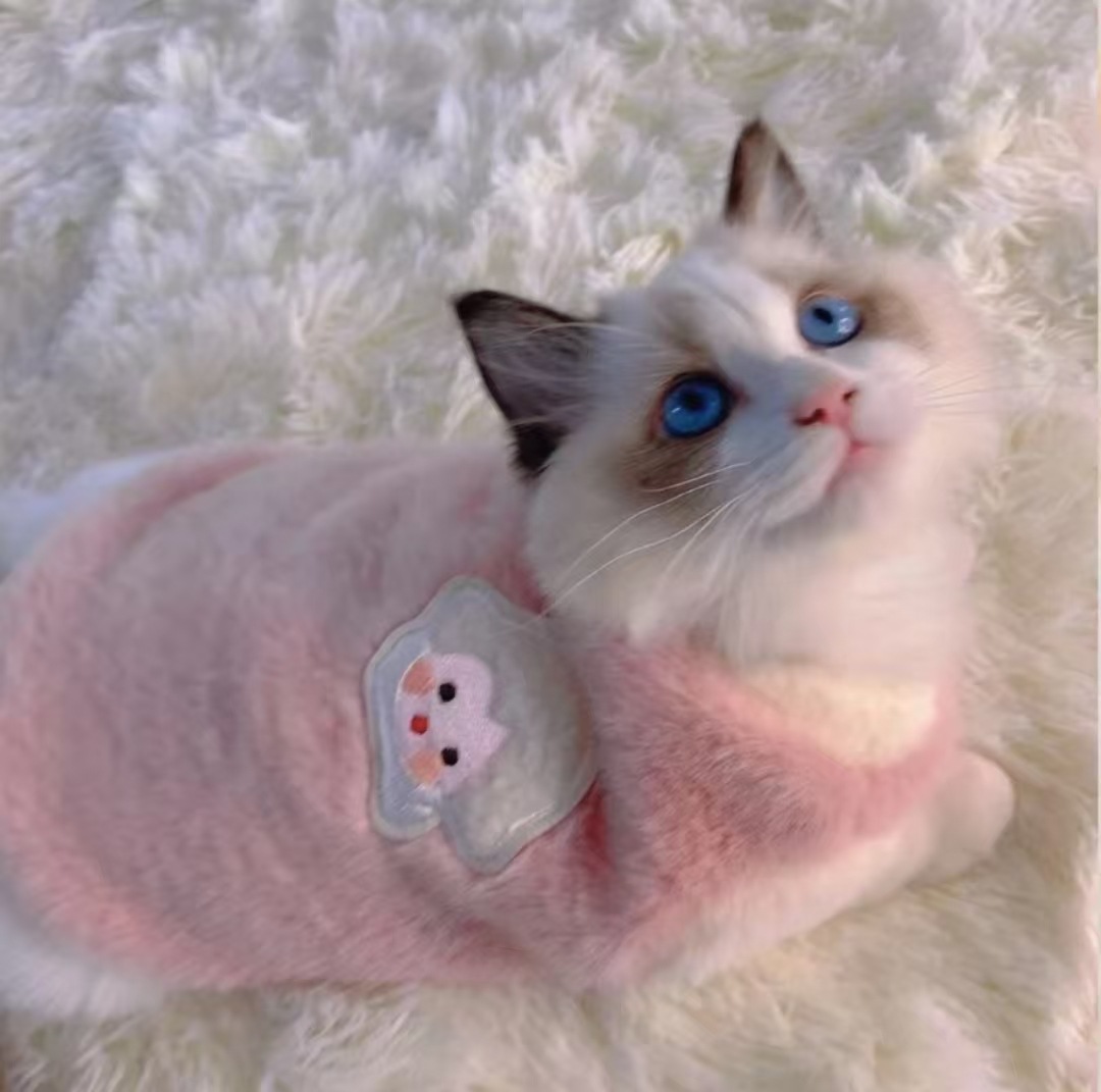 봄과 겨울 고양이 옷 Ragdoll 고양이 애완 동물 따뜻한 조끼 양털 의류 애완견 옷 흘러내림 방지 애완 동물 용품
